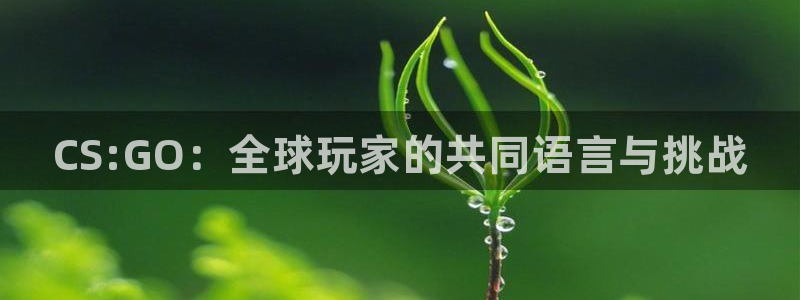 赢咖娱乐平台登录