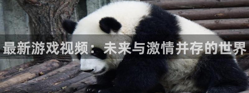 赢咖娱乐平台注册