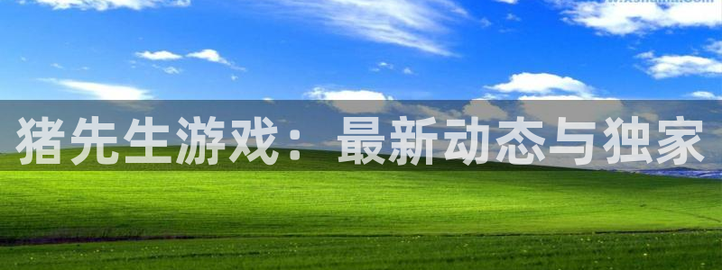 赢咖娱乐官网：猪先生游戏：最新动态与独家