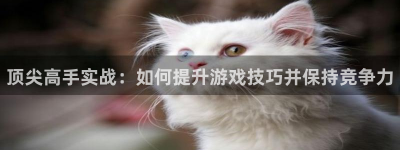 赢咖娱乐下载链接：顶尖高手实战：如何提升游戏技巧并保持竞争力