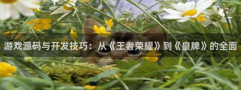 赢咖娱乐娱乐：游戏源码与开发技巧：从《王者荣耀》到《皇牌》的