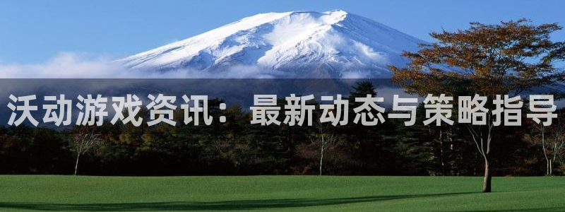 赢咖娱乐注册登录：沃动游戏资讯：最新动态与策略指导