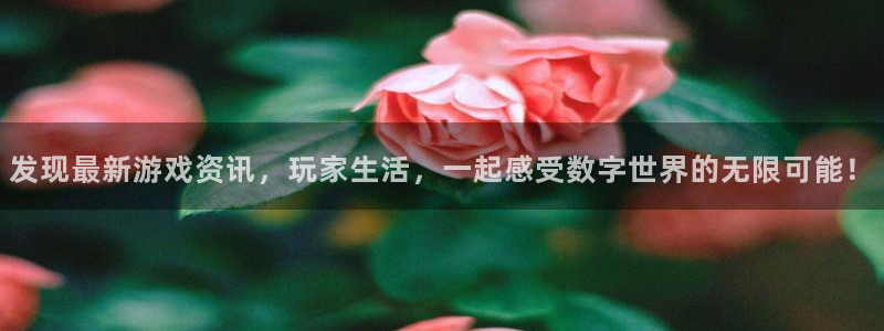 赢咖娱乐Ii：发现最新游戏资讯，玩家生活，一起感受数字世界的