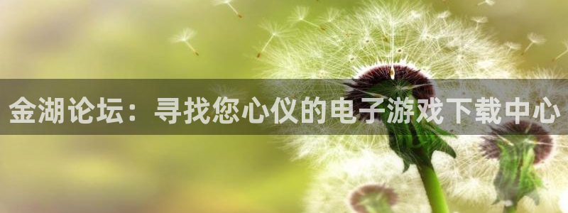 赢咖娱乐注册登录：金湖论坛：寻找您心仪的电子游戏下载中心