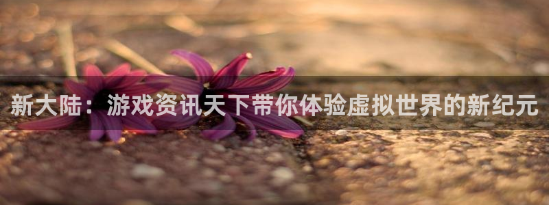 赢咖娱乐登陆测速：新大陆：游戏资讯天下带你体验虚拟世界的新纪