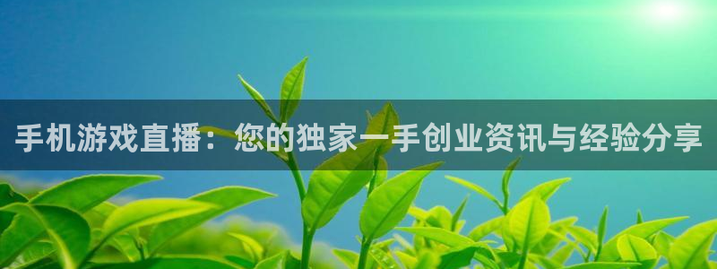 赢咖娱乐网页登录入口官网：手机游戏直播：您的独家一手创业资讯