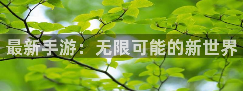 赢咖娱乐线路测试：最新手游：无限可能的新世界