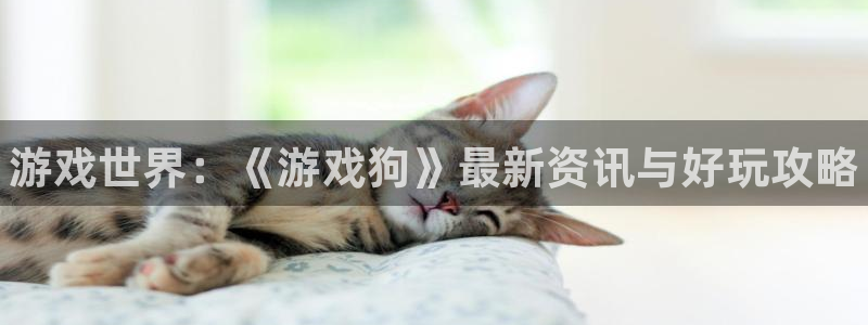 赢咖娱乐升级5994月