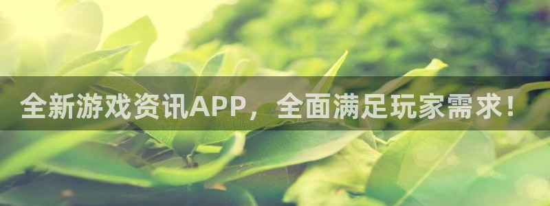 赢咖娱乐什么意思