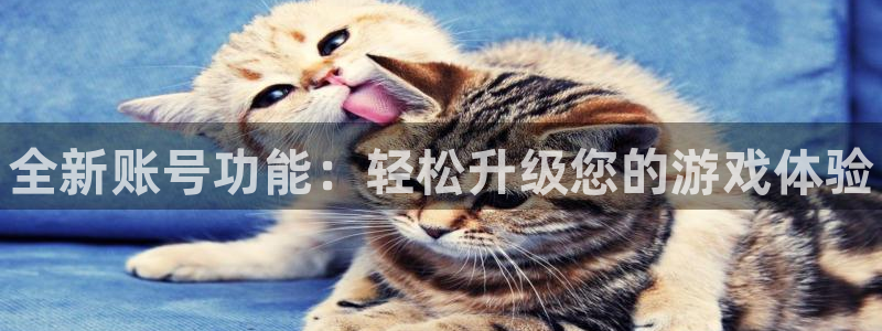 手机赢咖娱乐下载安装