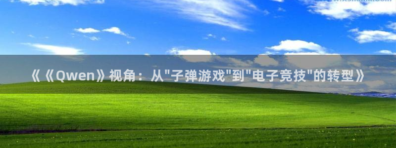 赢咖娱乐4主管：《《Qwen》视角：从\