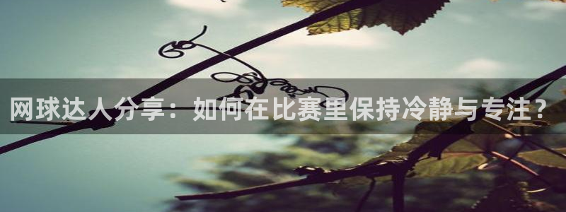 赢咖娱乐集团：网球达人分享：如何在比赛里保持冷静与专注？