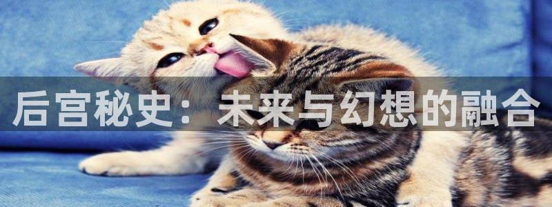 赢咖娱乐Ii：后宫秘史：未来与幻想的融合