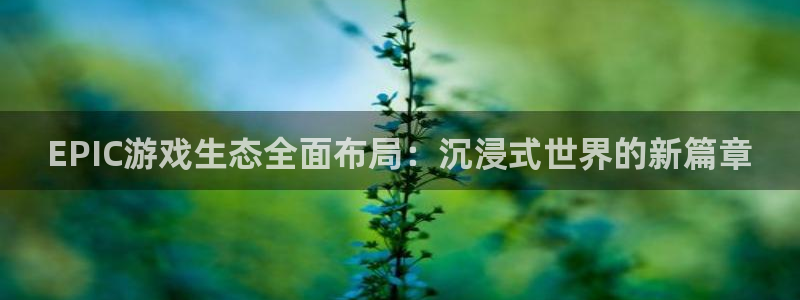 赢咖娱乐娱乐：EPIC游戏生态全面布局：沉浸式世界的新篇章